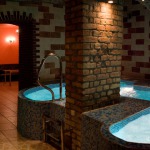 Bath-house, sauna, relaxation and rest room